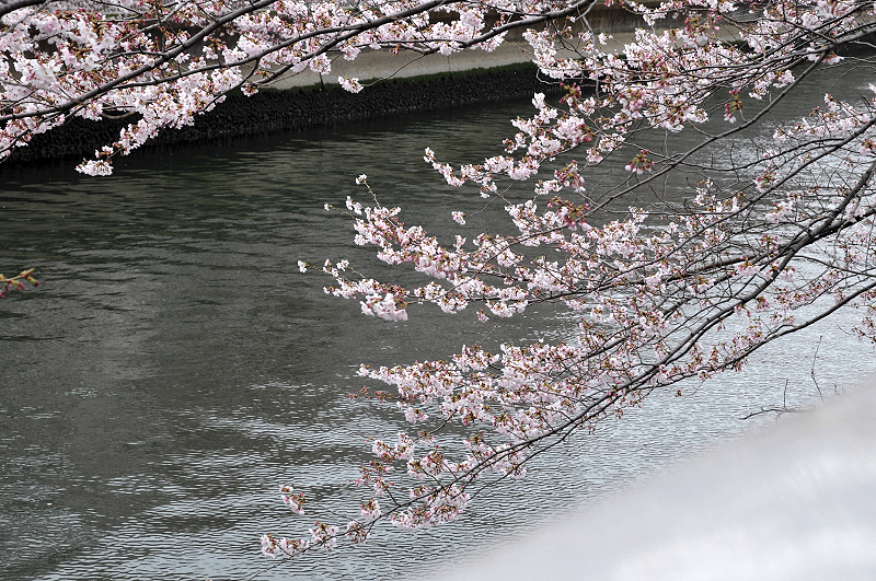 image0216