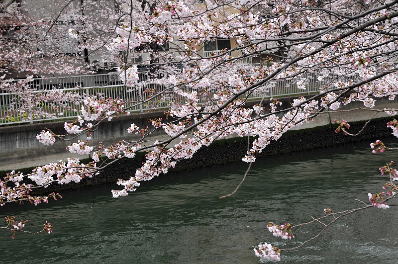 image0217