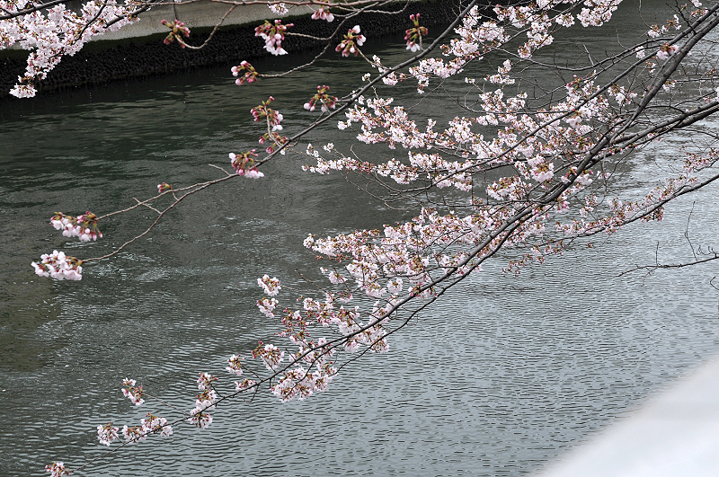 image0218