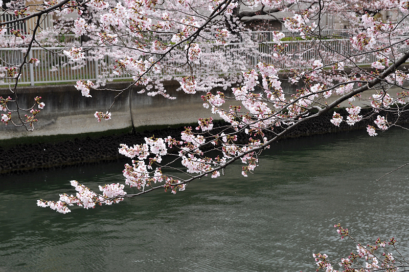 image0219