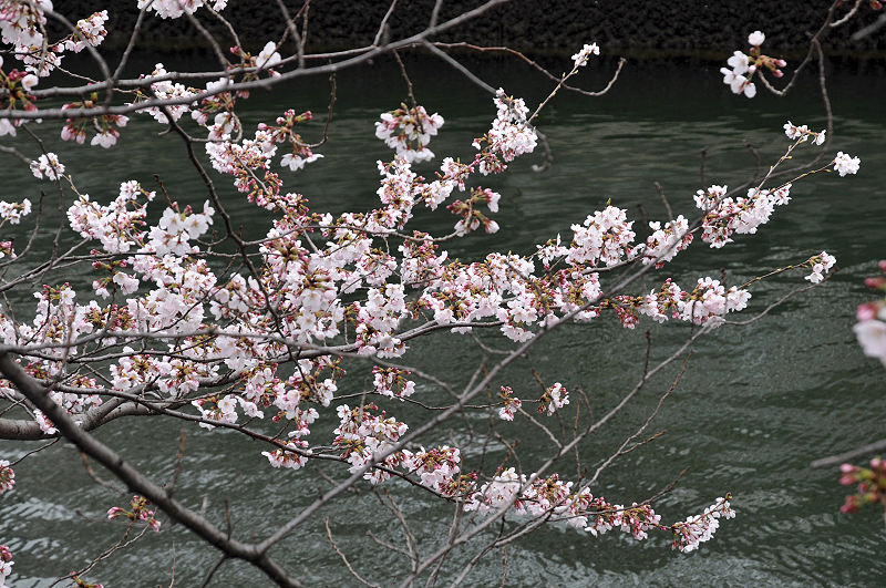image0220