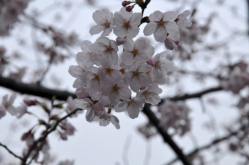 image0221