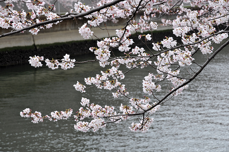 image0223