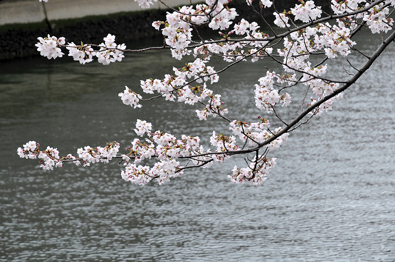 image0225