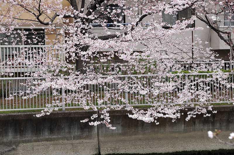 image0226