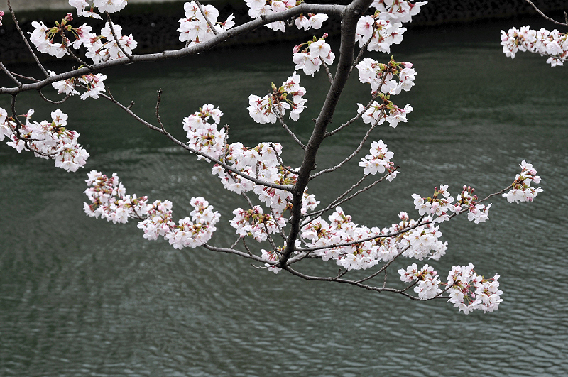 image0229
