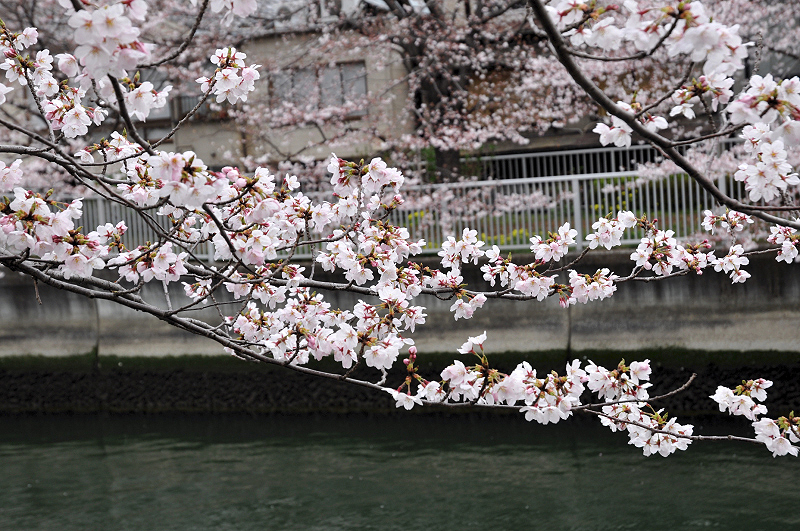 image0230
