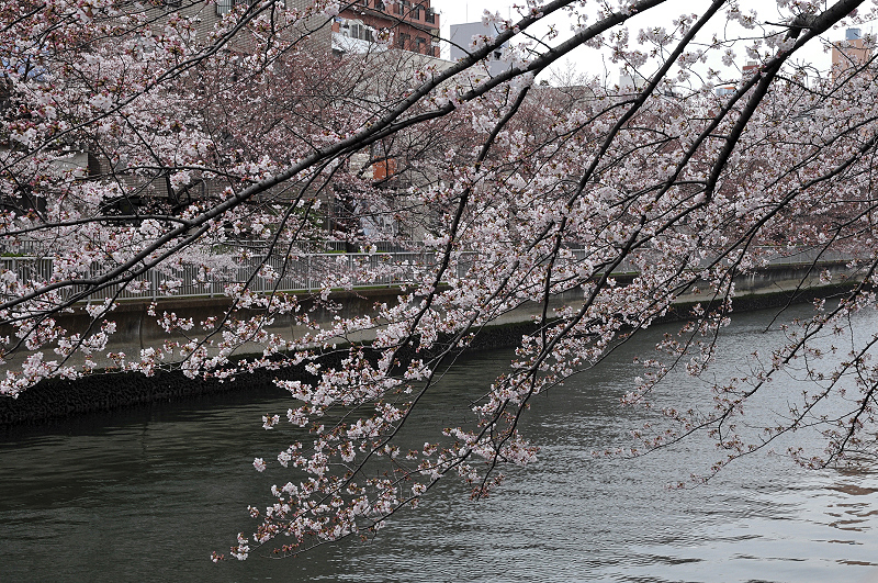 image0231