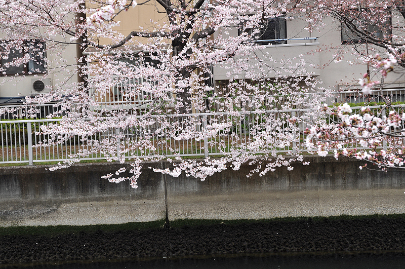 image0233