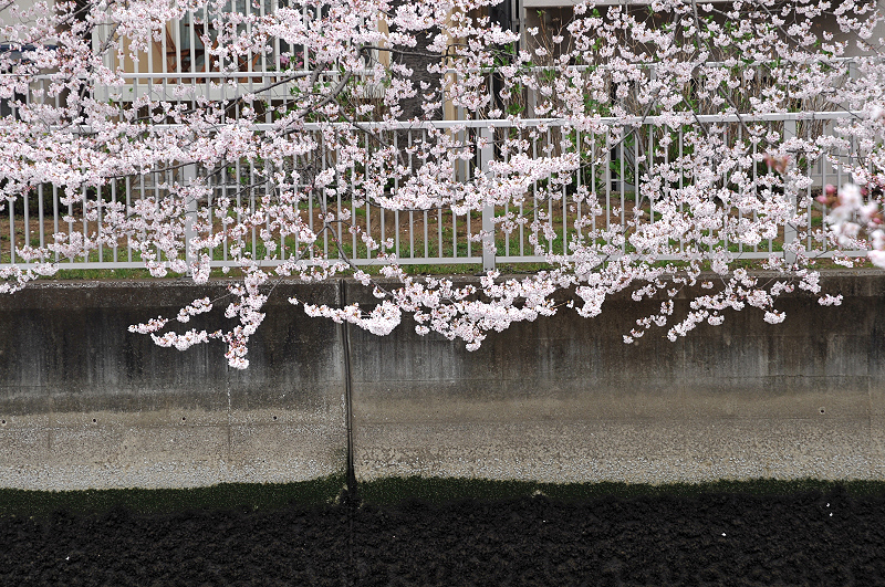 image0234