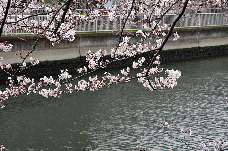 image0237