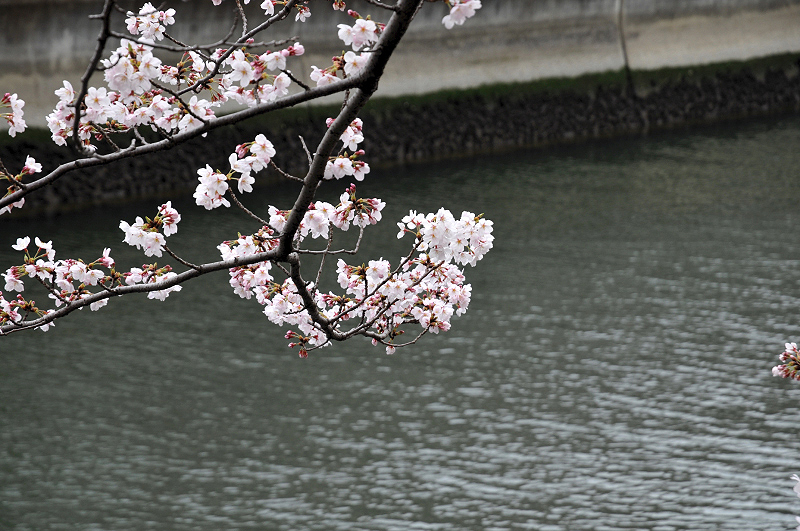 image0238