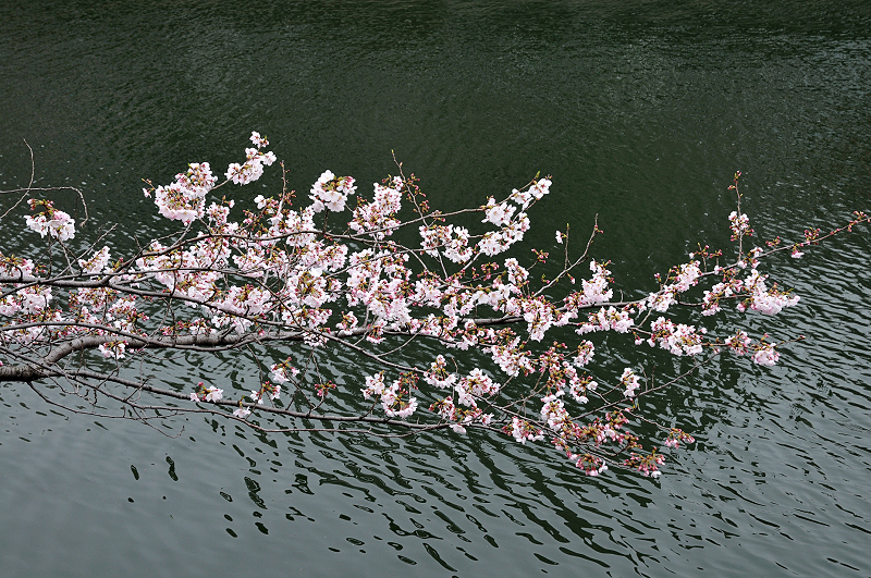 image0240