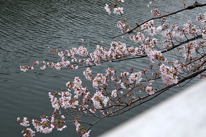 image0241