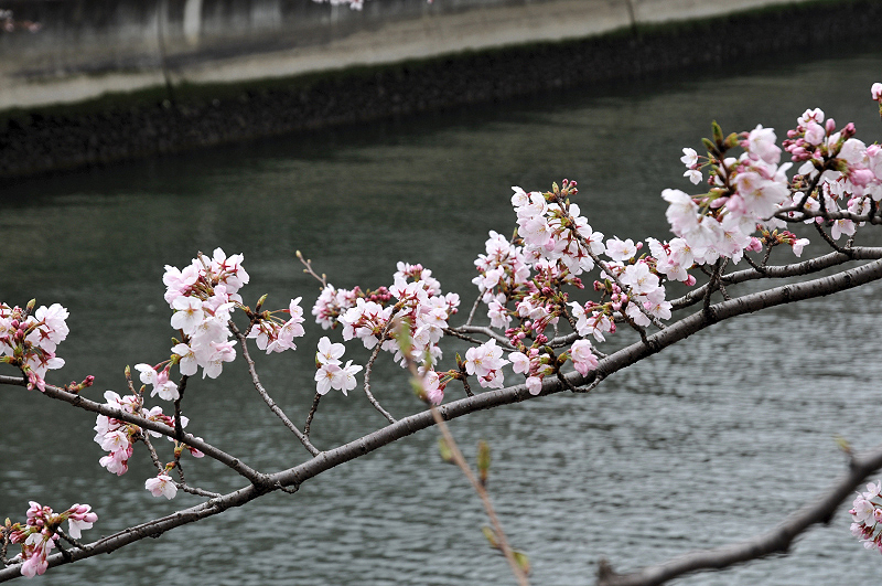 image0242