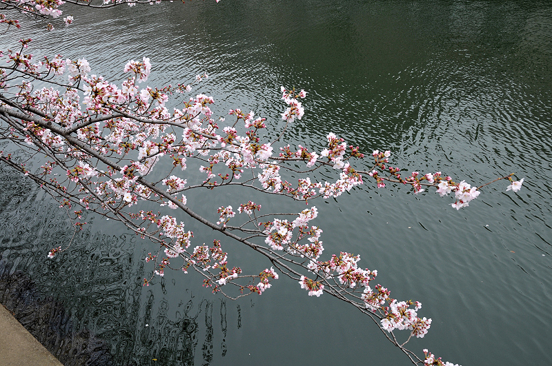 image0243