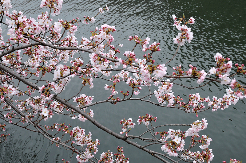 image0244