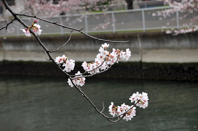 image0245