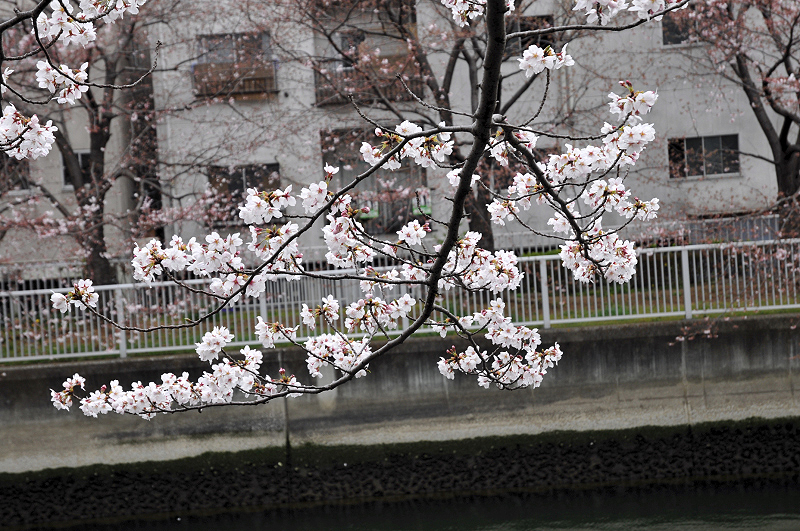 image0248