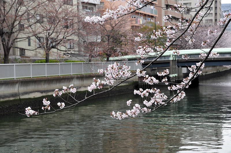 image0251