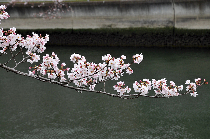 image0252