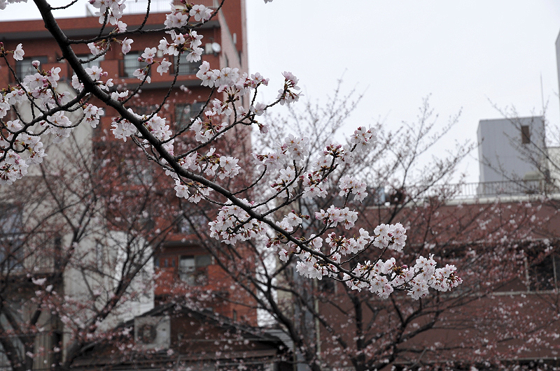 image0253