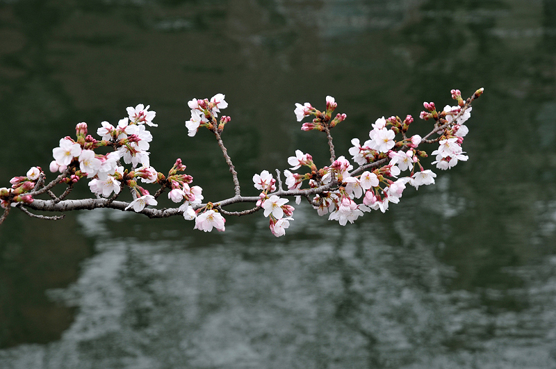 image0255