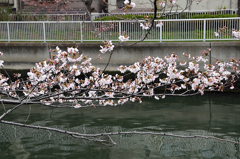 image0256