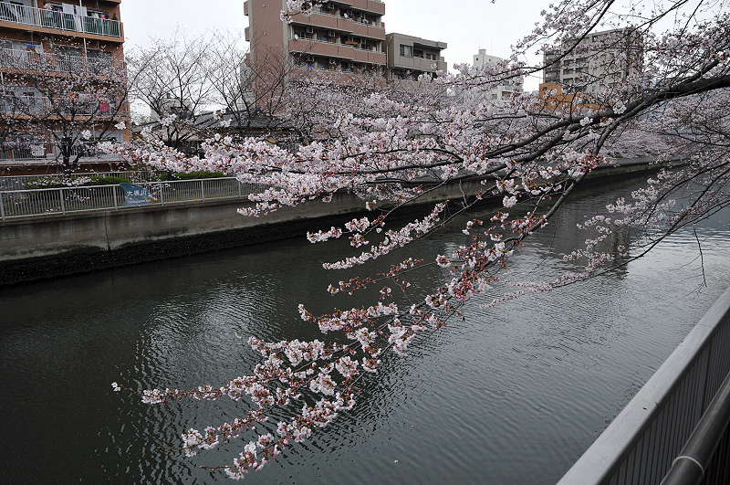 image0260