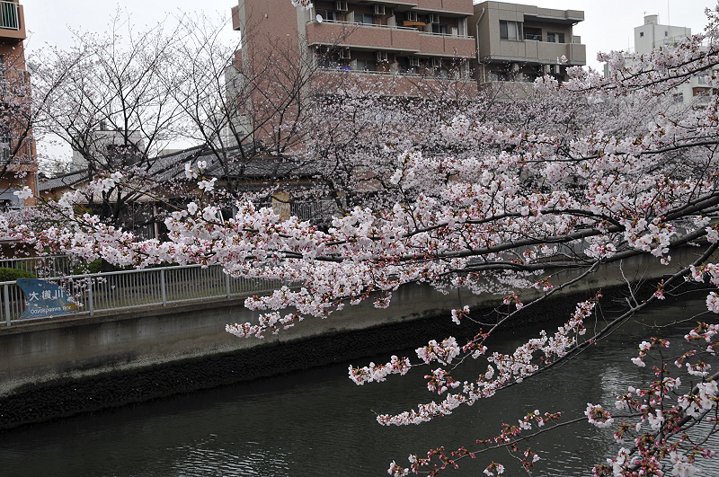image0261
