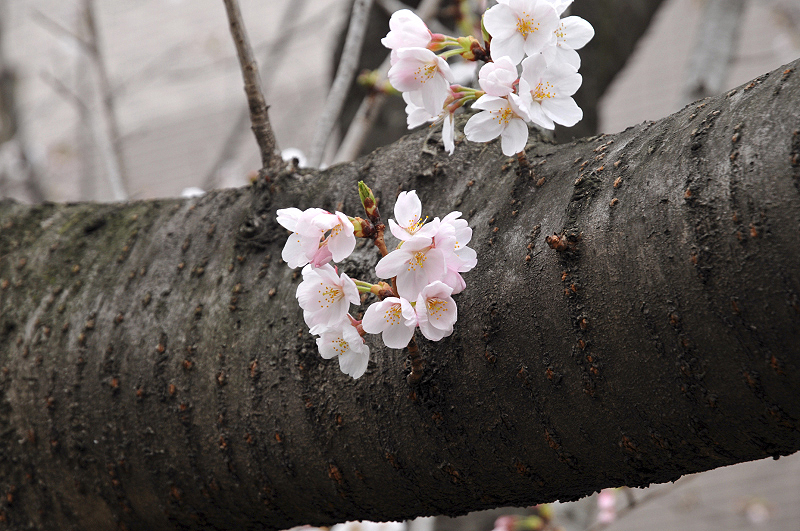image0262