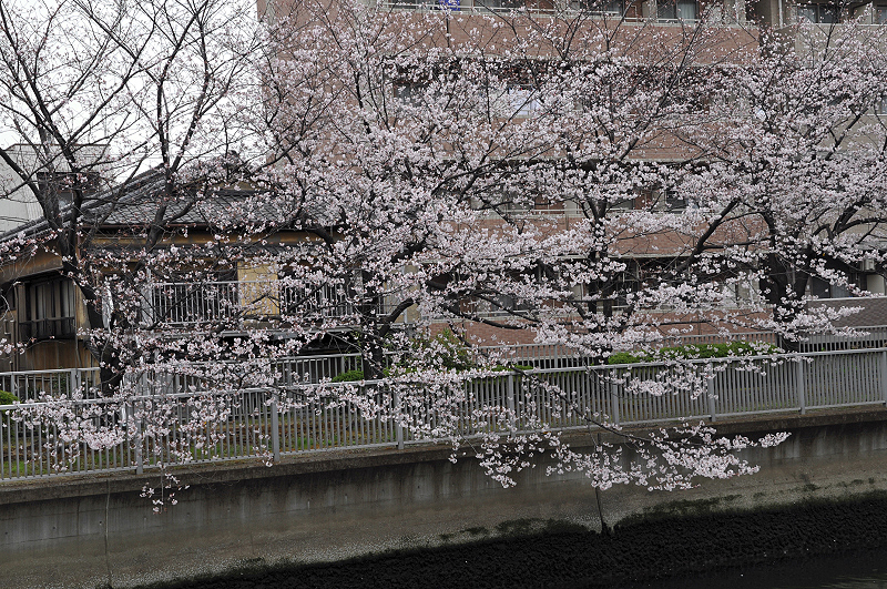 image0264