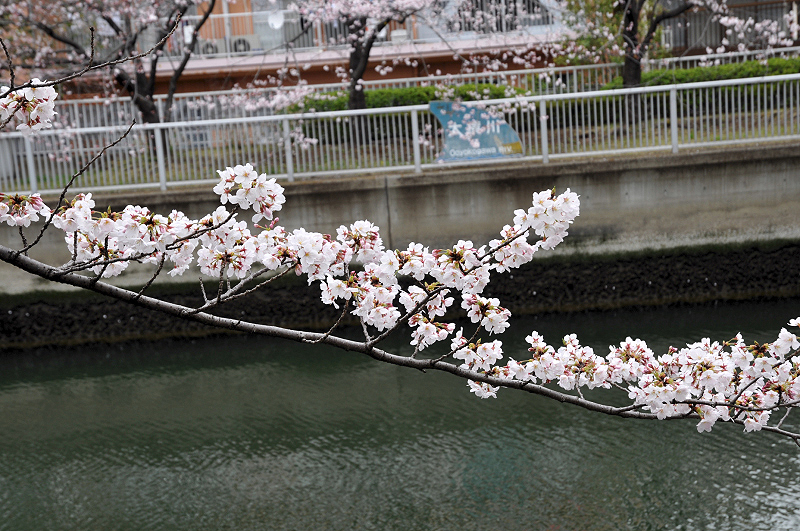 image0265