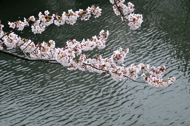 image0266