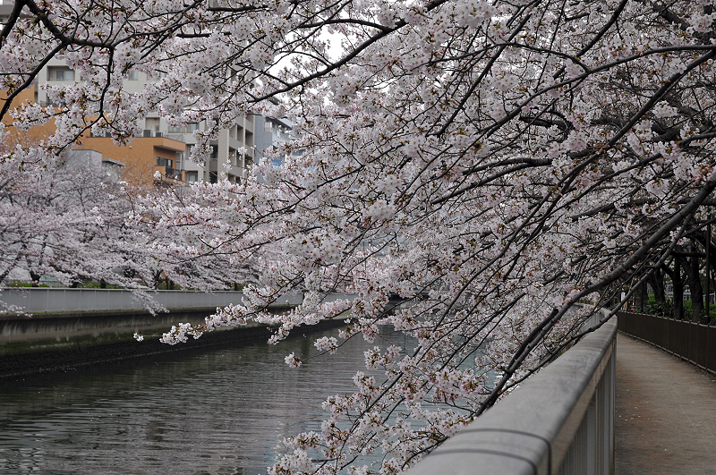 image0267