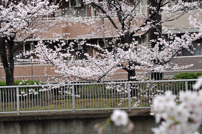 image0269