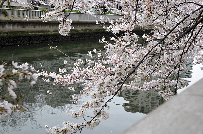 image0272