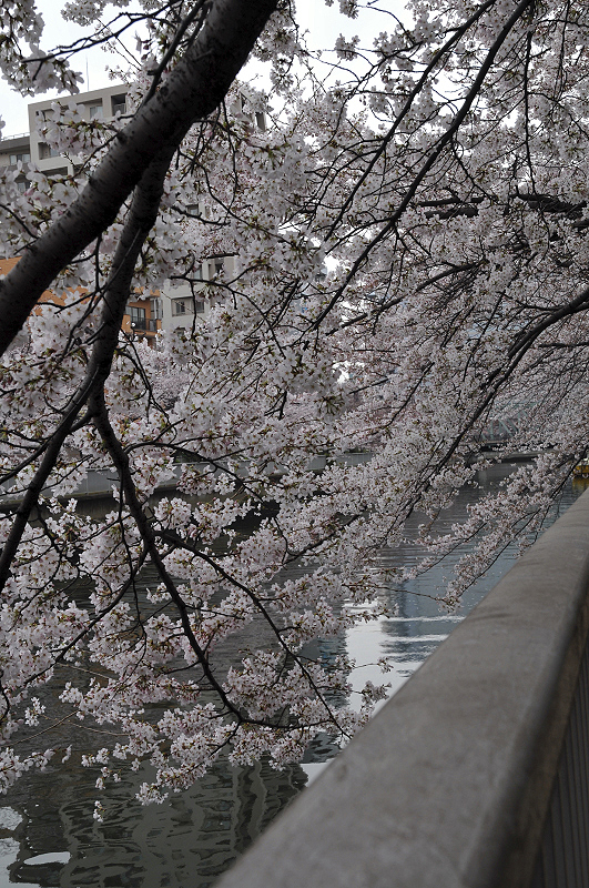 image0273