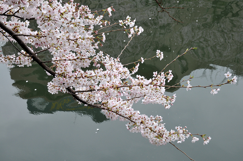 image0276