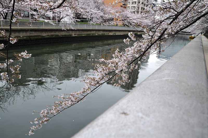 image0278