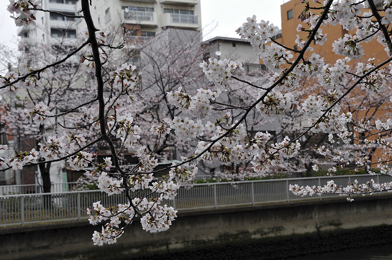 image0280