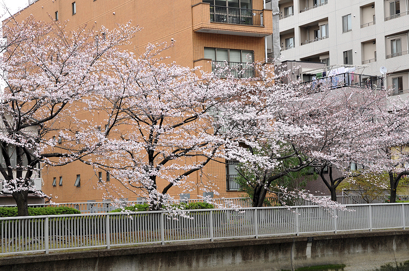 image0281