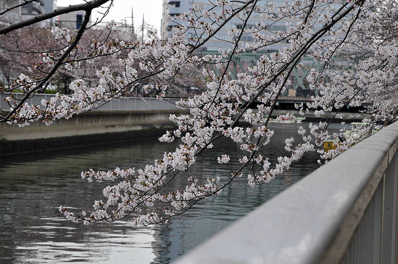 image0282