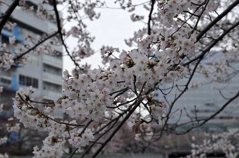 image0285