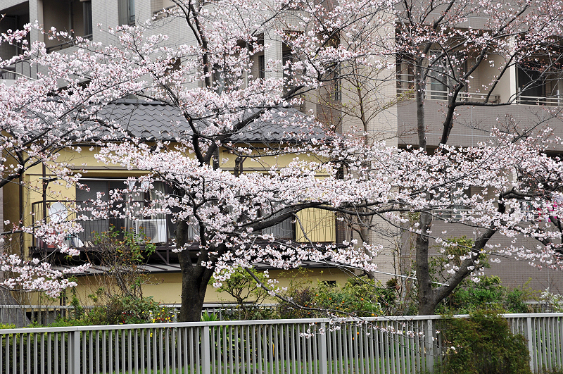 image0286