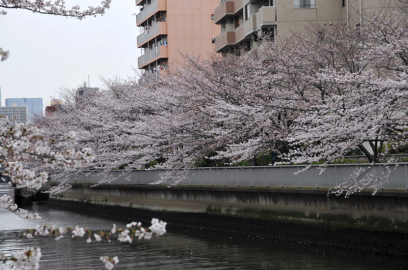 image0287
