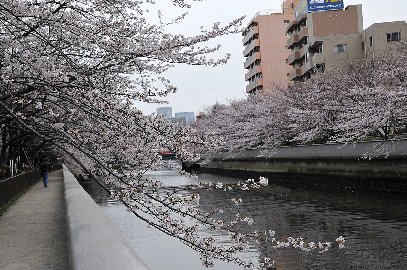 image0288
