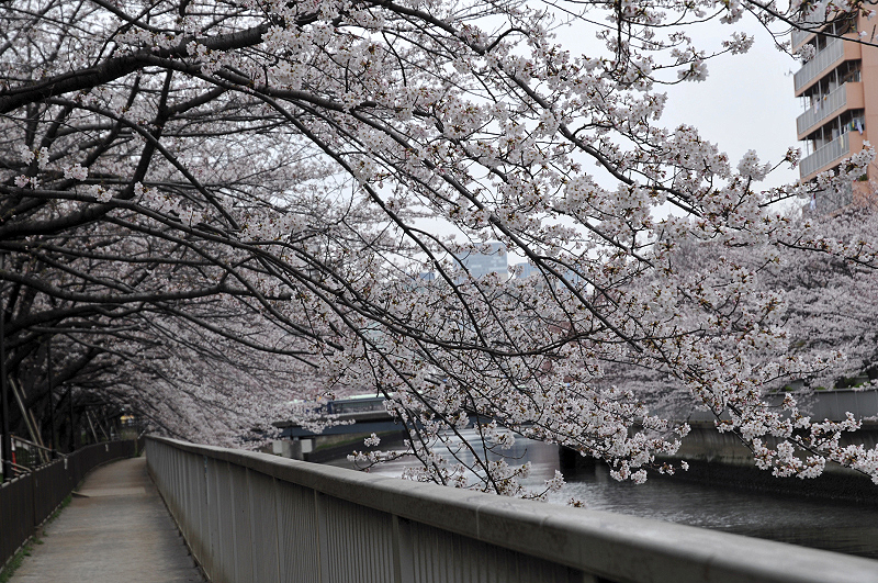 image0290