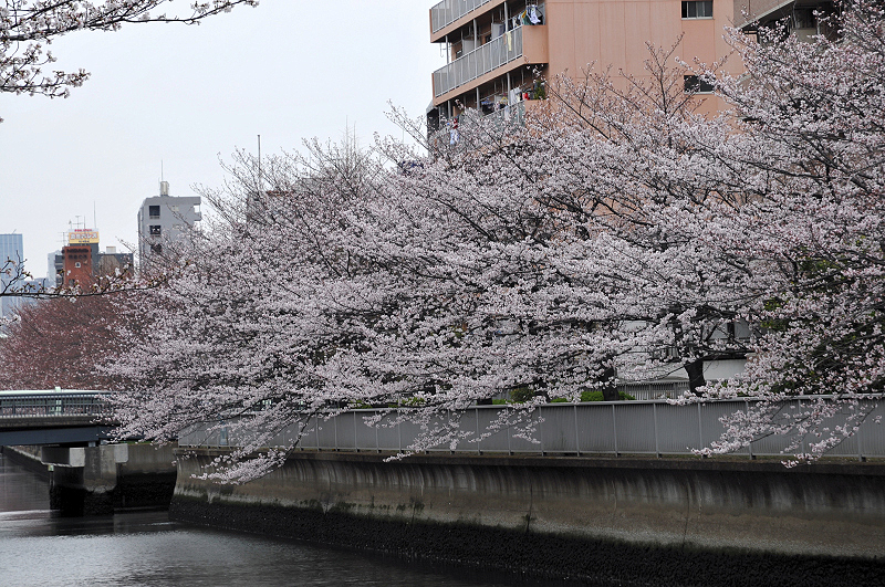 image0292