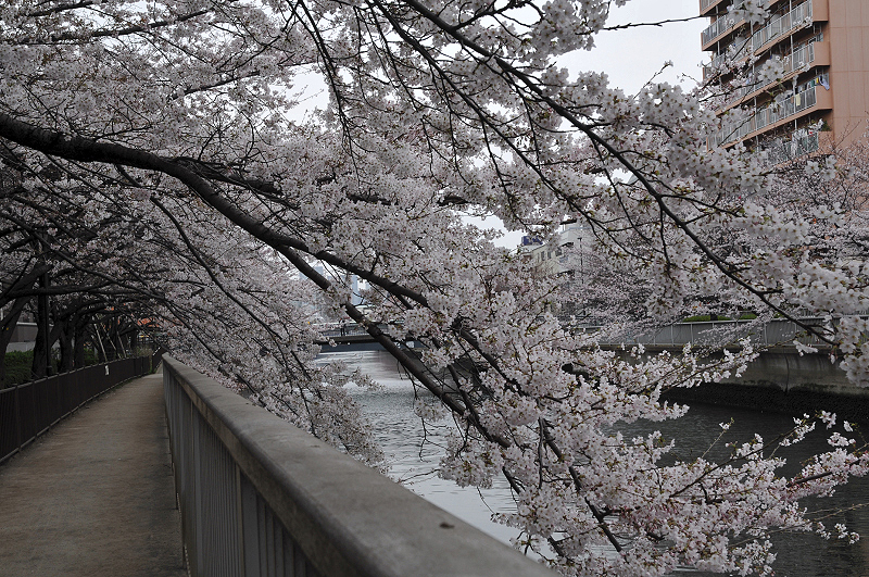 image0295